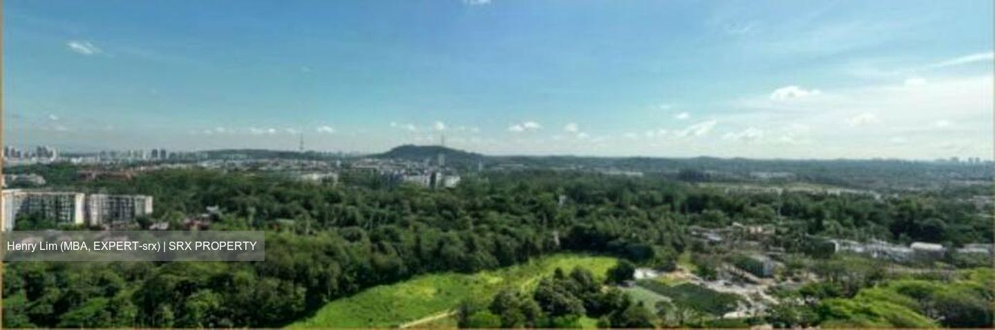 Pinetree Hill (D21), Condominium #542313981